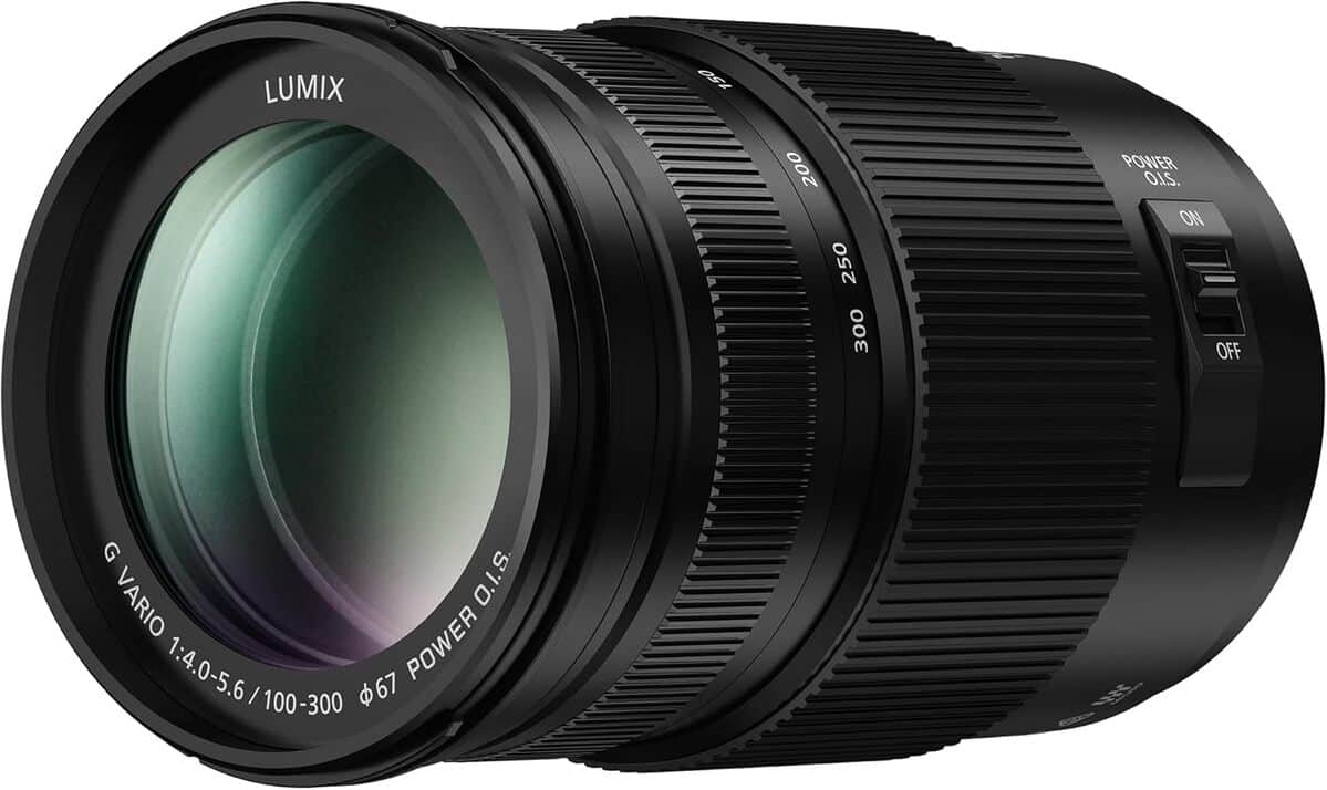 Test de l'objectif Panasonic Lumix 100-300mm : zoom ultra puissant et stabilisé