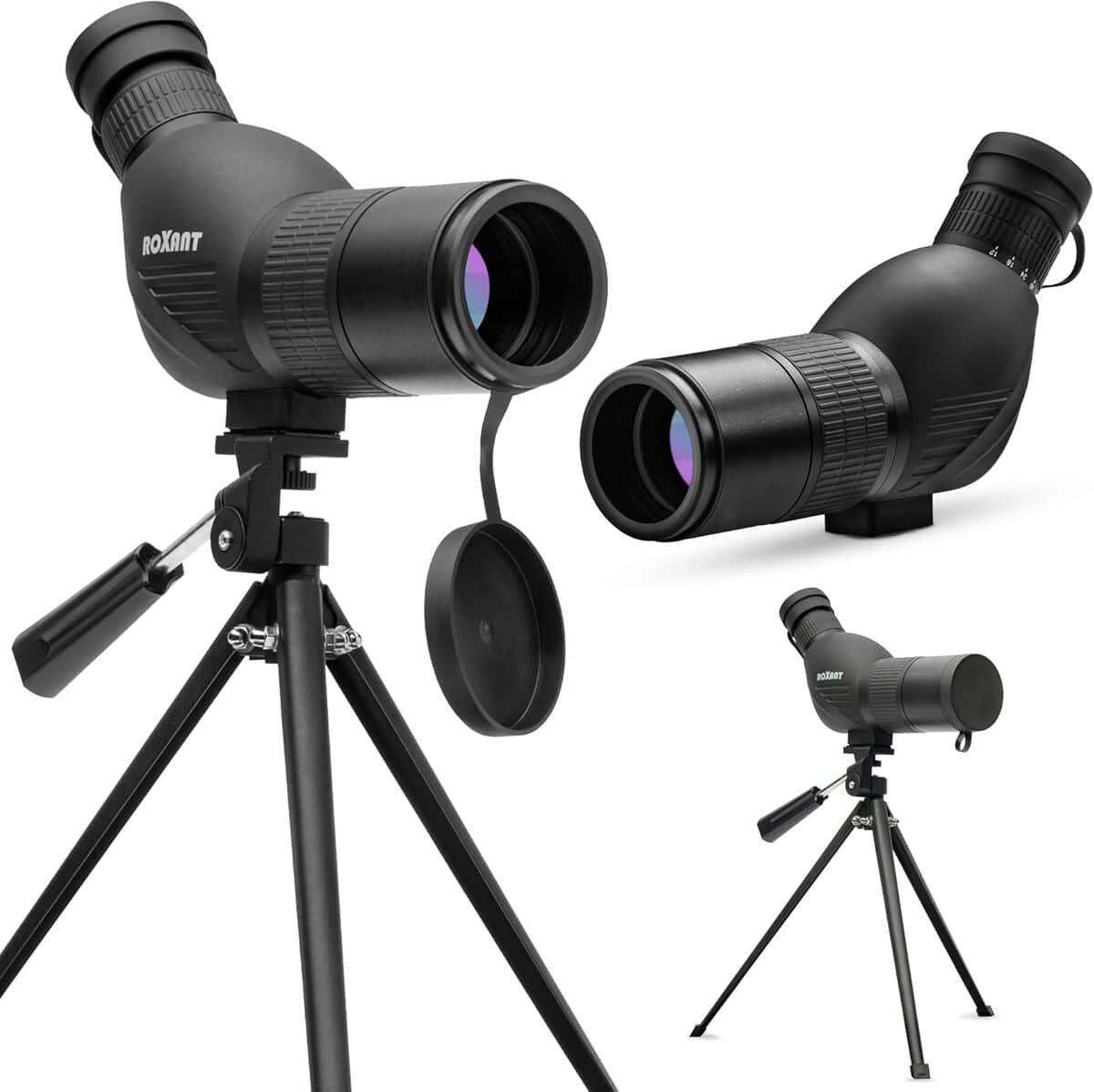 Test : télescope Roxant, qualité optique au rendez-vous