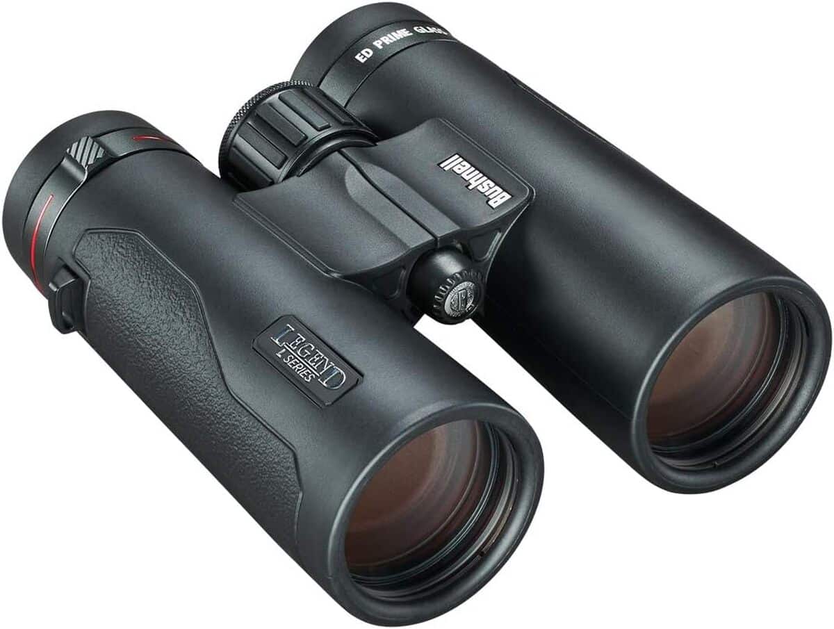 Test des jumelles Bushnell Legend L 10x42 : robustesse et clarté