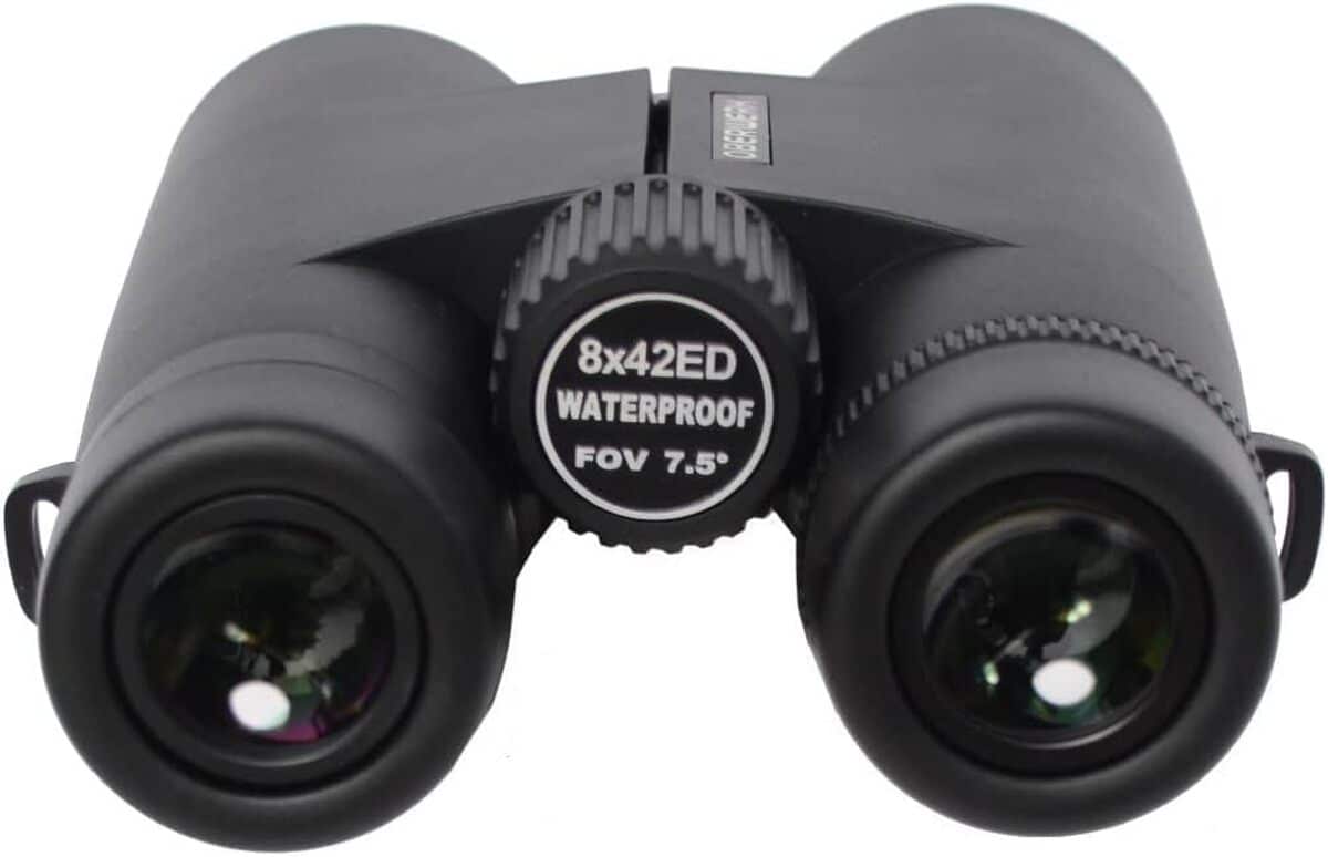Test des jumelles Oberwerk HD II 8x42 : l'allié parfait pour l'observation en extérieur